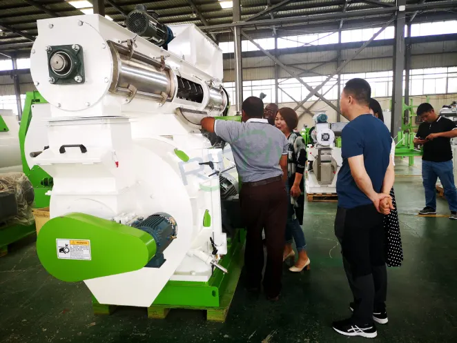 Cow dung pellet making machine for Zimbabwe organic fertilizer and animal feed production line factory inspection