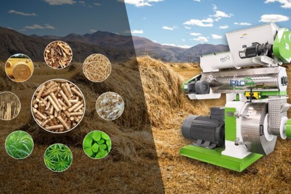 Pellet mill for vegetable waste processing